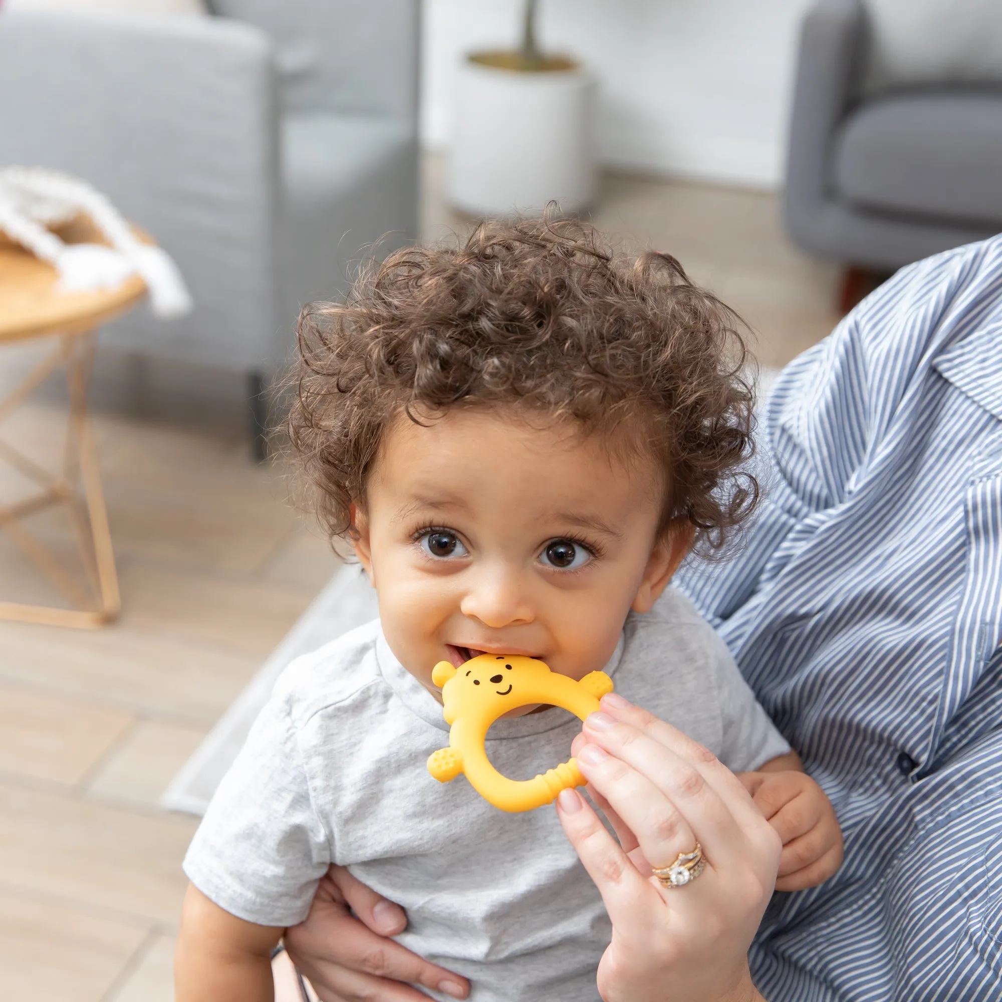 Silicone Teething Toy: Winnie the Pooh