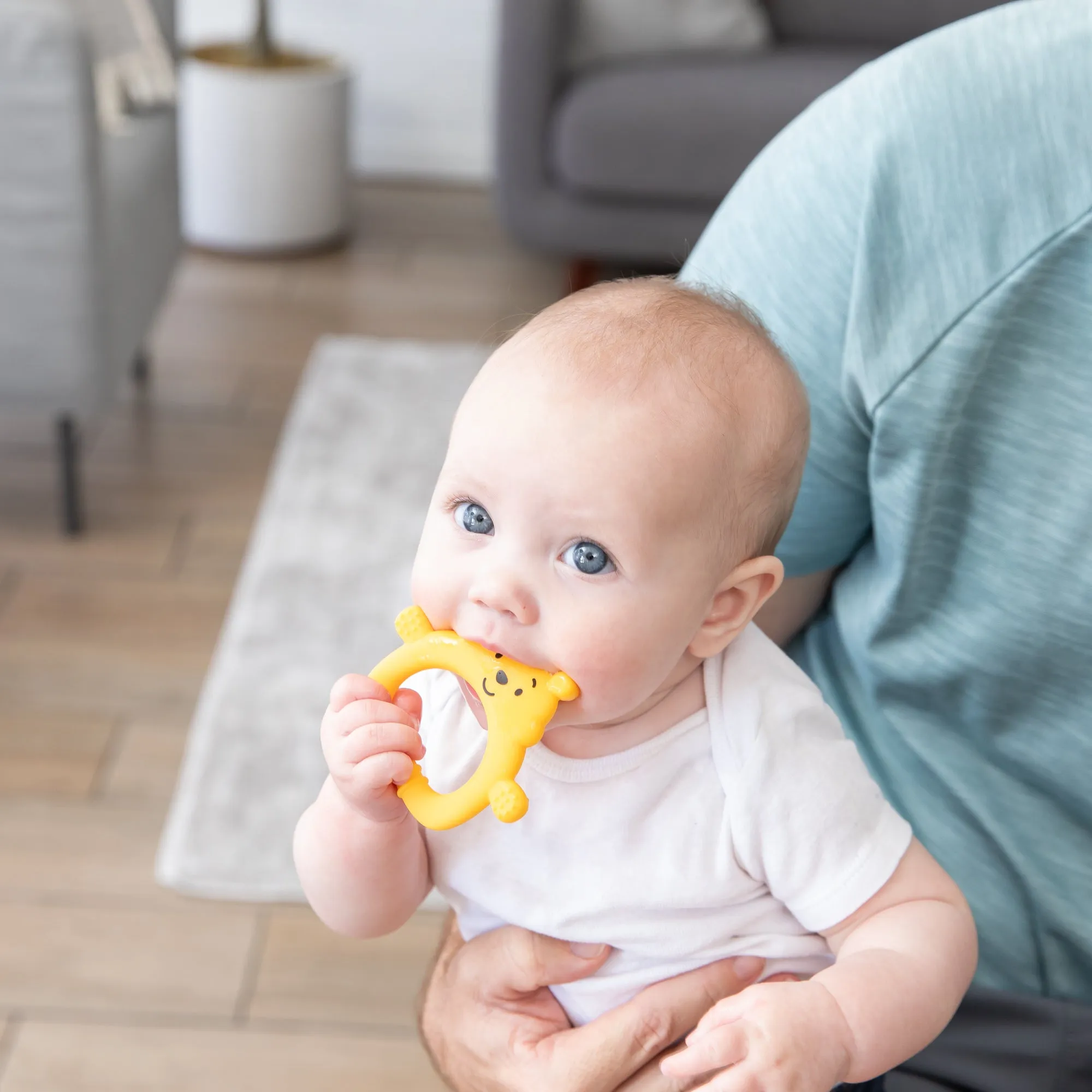 Silicone Teething Toy: Winnie the Pooh